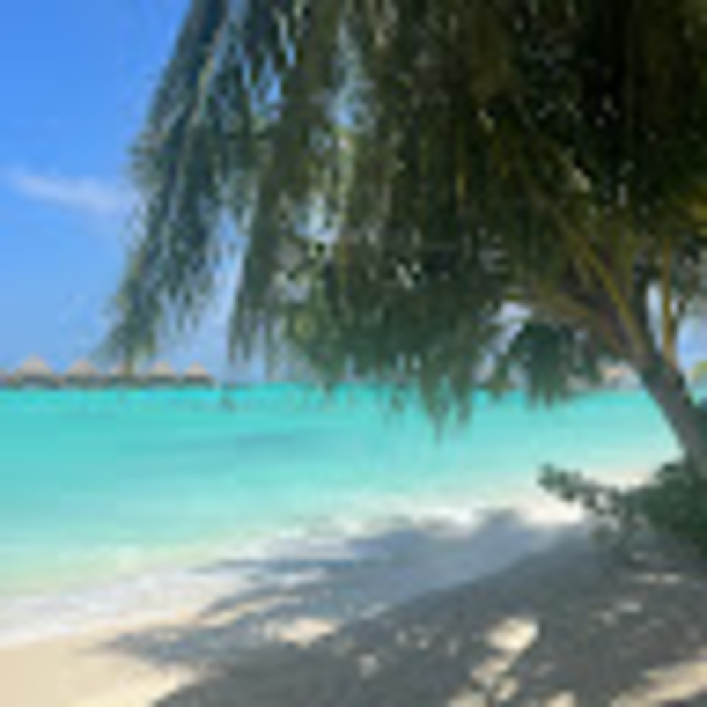 Meet your Posher, Laurent